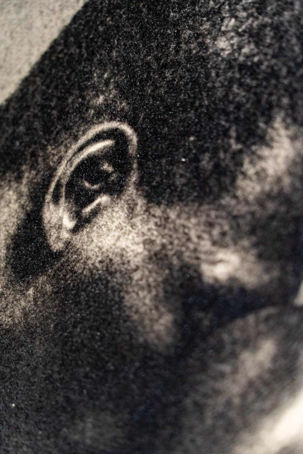 Ink relief detail of a Vision Picturale bromoil