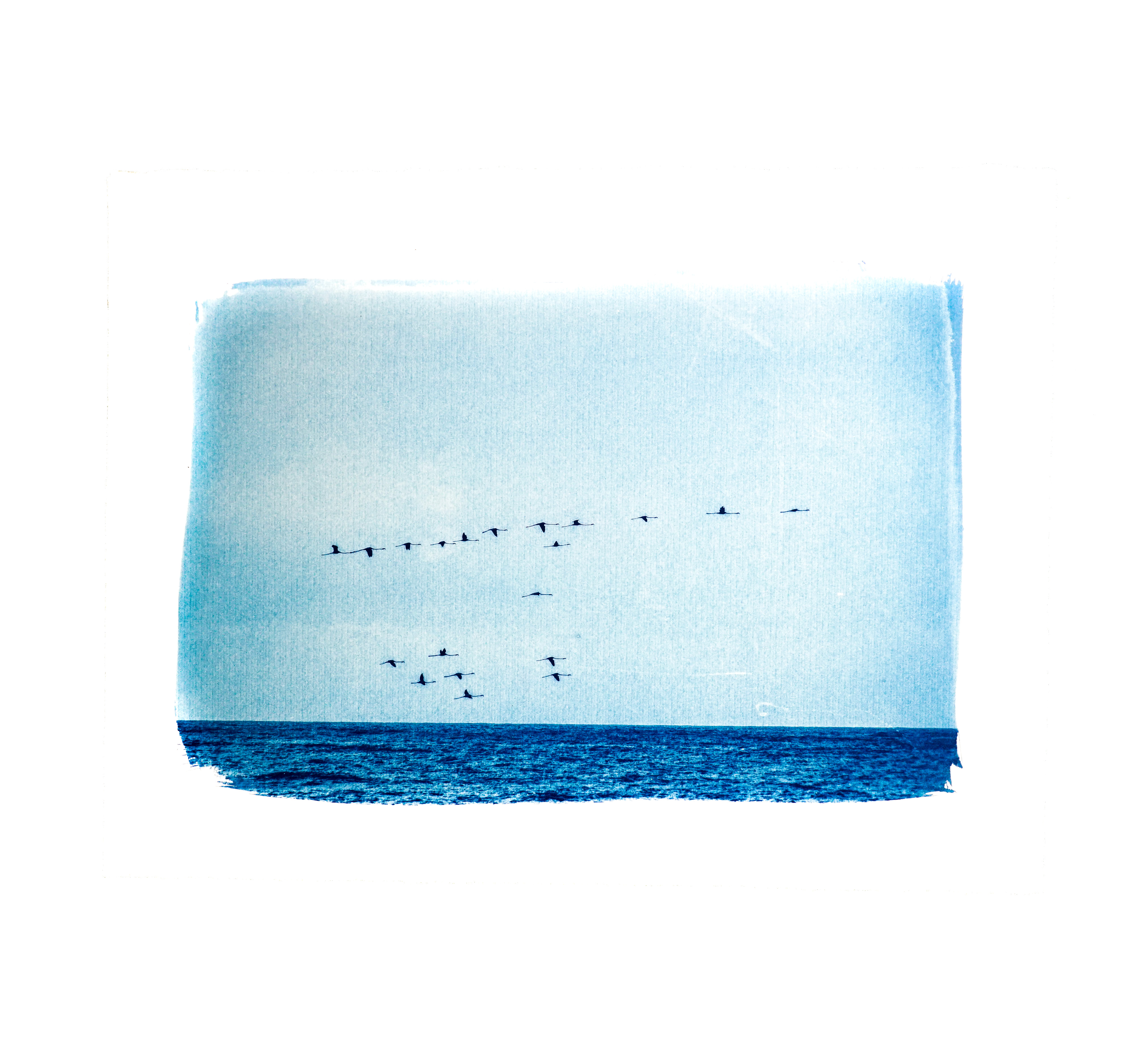 Quel papier choisir pour le cyanotype et les tirages alternatifs