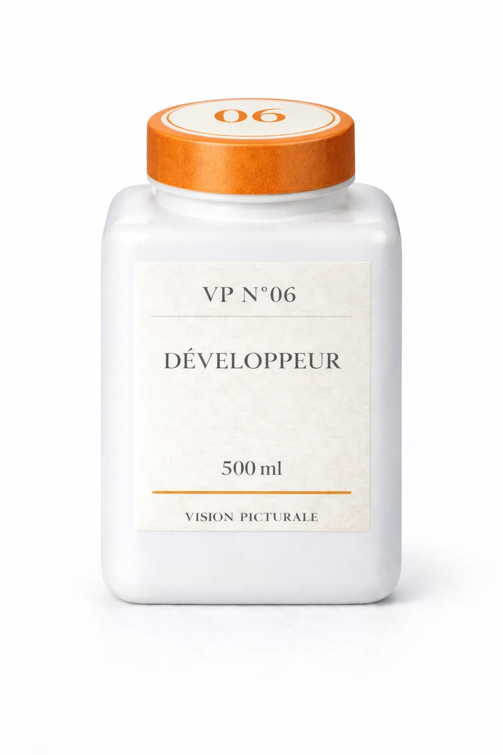 VP N°06 — Développeur