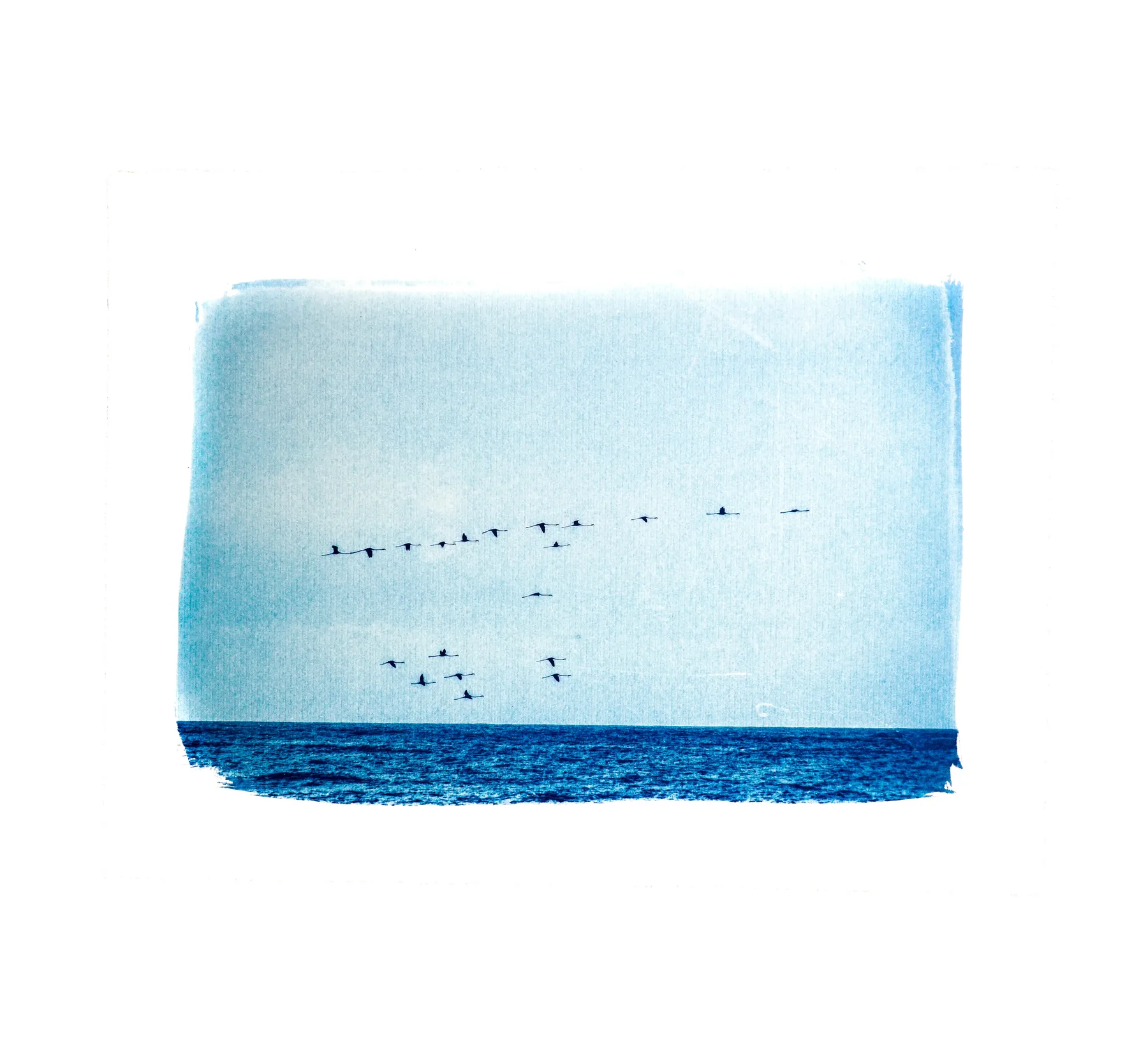Cyanotype — Bleu Profond — tirage cyanotype sur Papier Aquarelle, réalisé avec Coffret Bleu Iconique, Vision Picturale